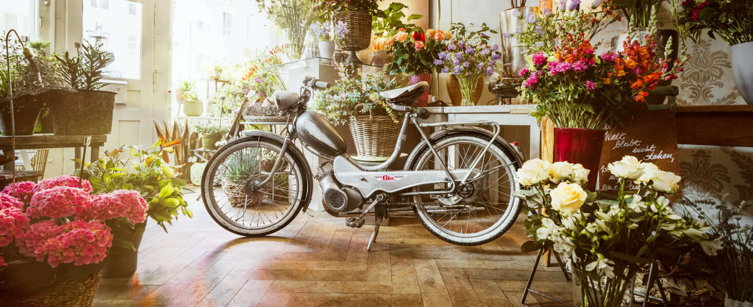 23_08-Cilo-01pri 23_08-Cilo-01pri