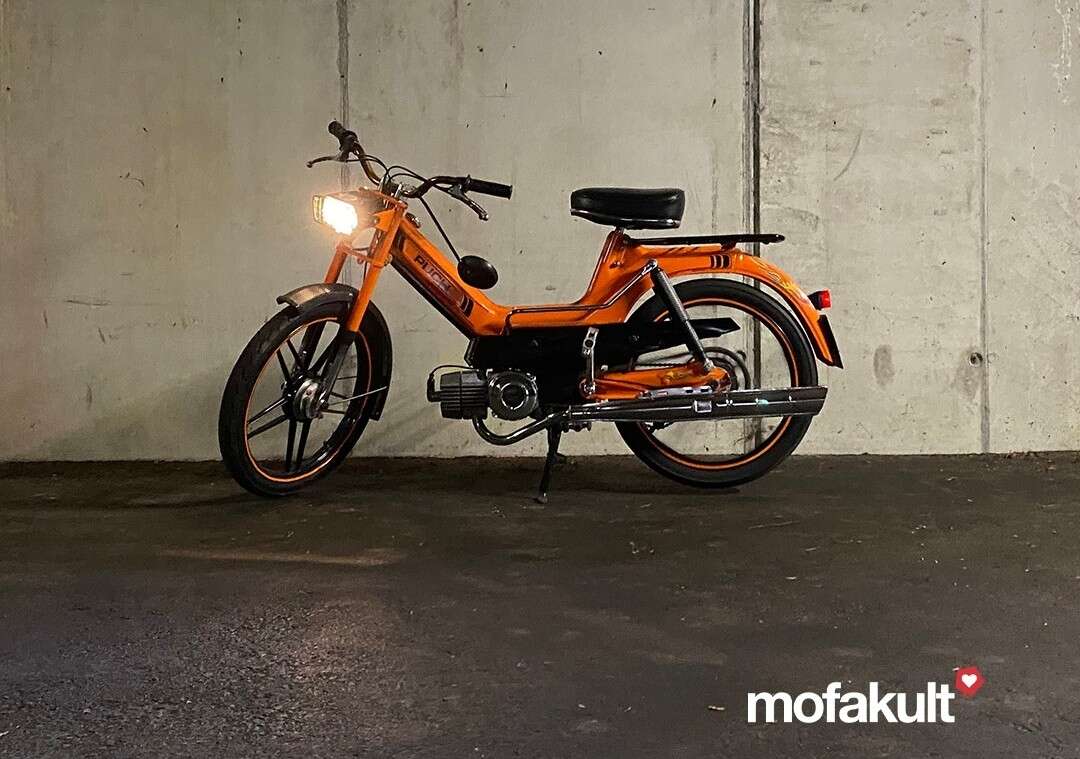 Maxi S von Janis Maxi S von Janis