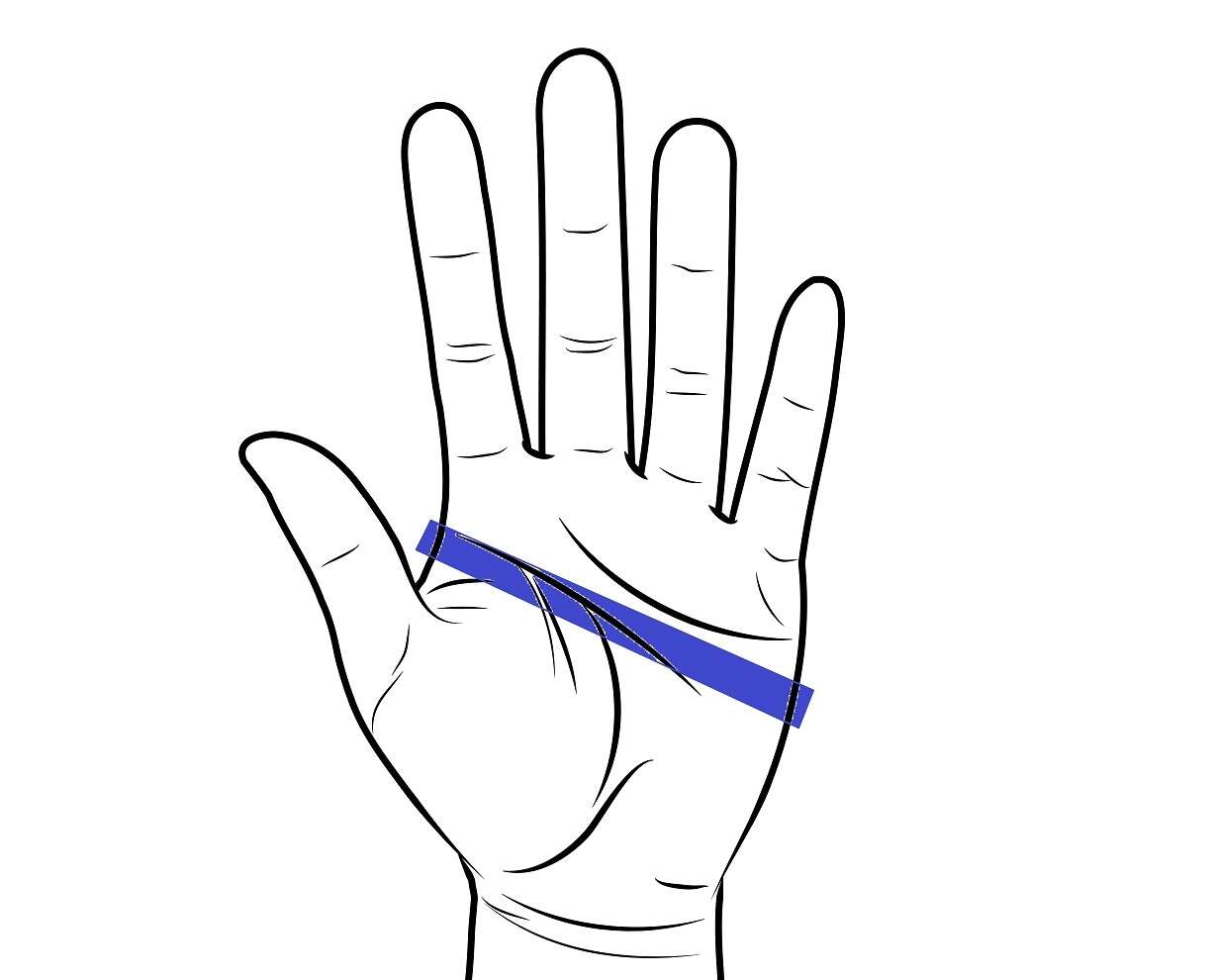 Der blaue Bereich gibt an, wo man den Handumfang messen muss Der blaue Bereich gibt an, wo man den Handumfang messen muss