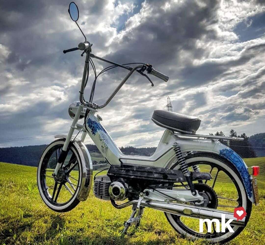 Maxi S von Ansch Maxi S von Ansch