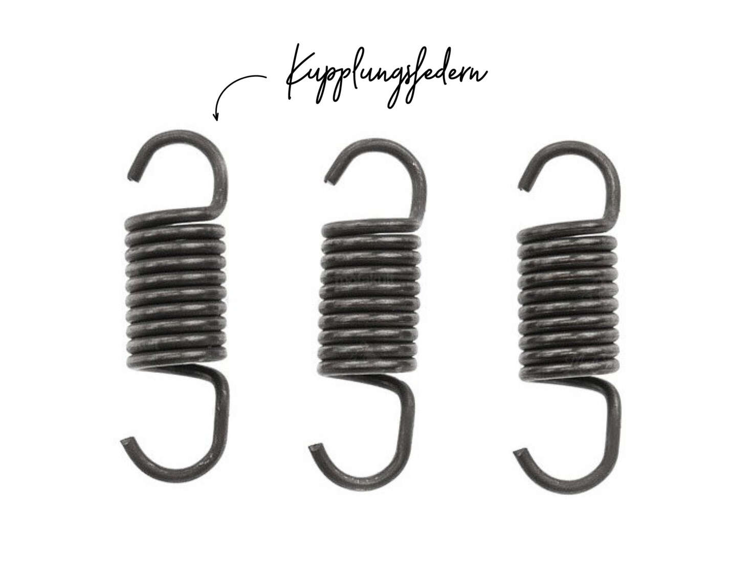 Kupplungsfedern medium Jammer Rennkupplung E50 Kupplungsfedern medium Jammer Rennkupplung E50