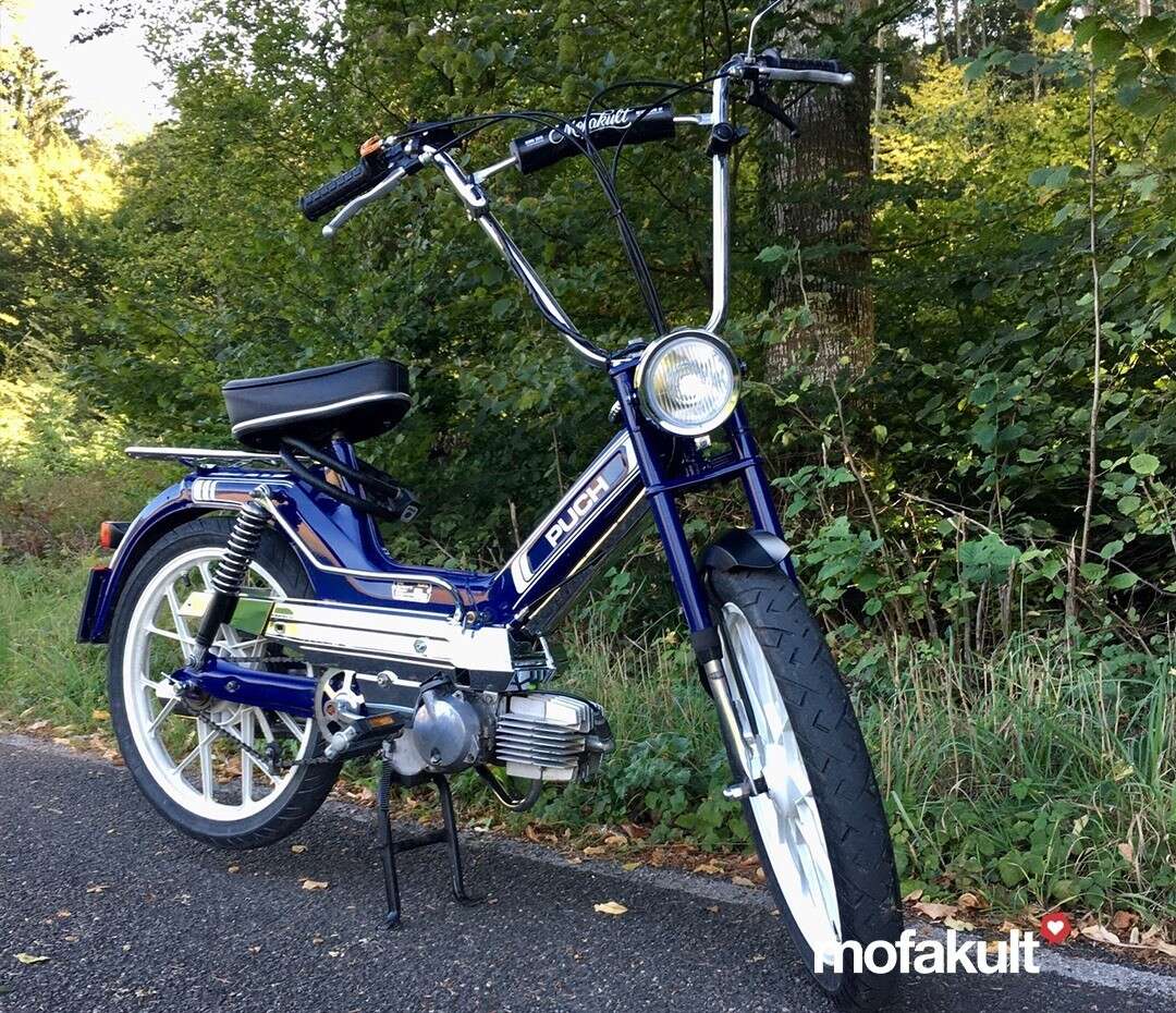 Maxi S im RedBull Blau von Patrik Maxi S im RedBull Blau von Patrik