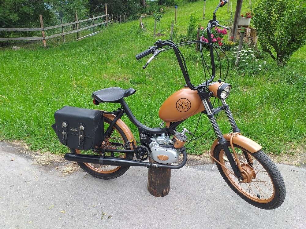 Pony Junior-L von Andreas Pony Junior-L von Andreas