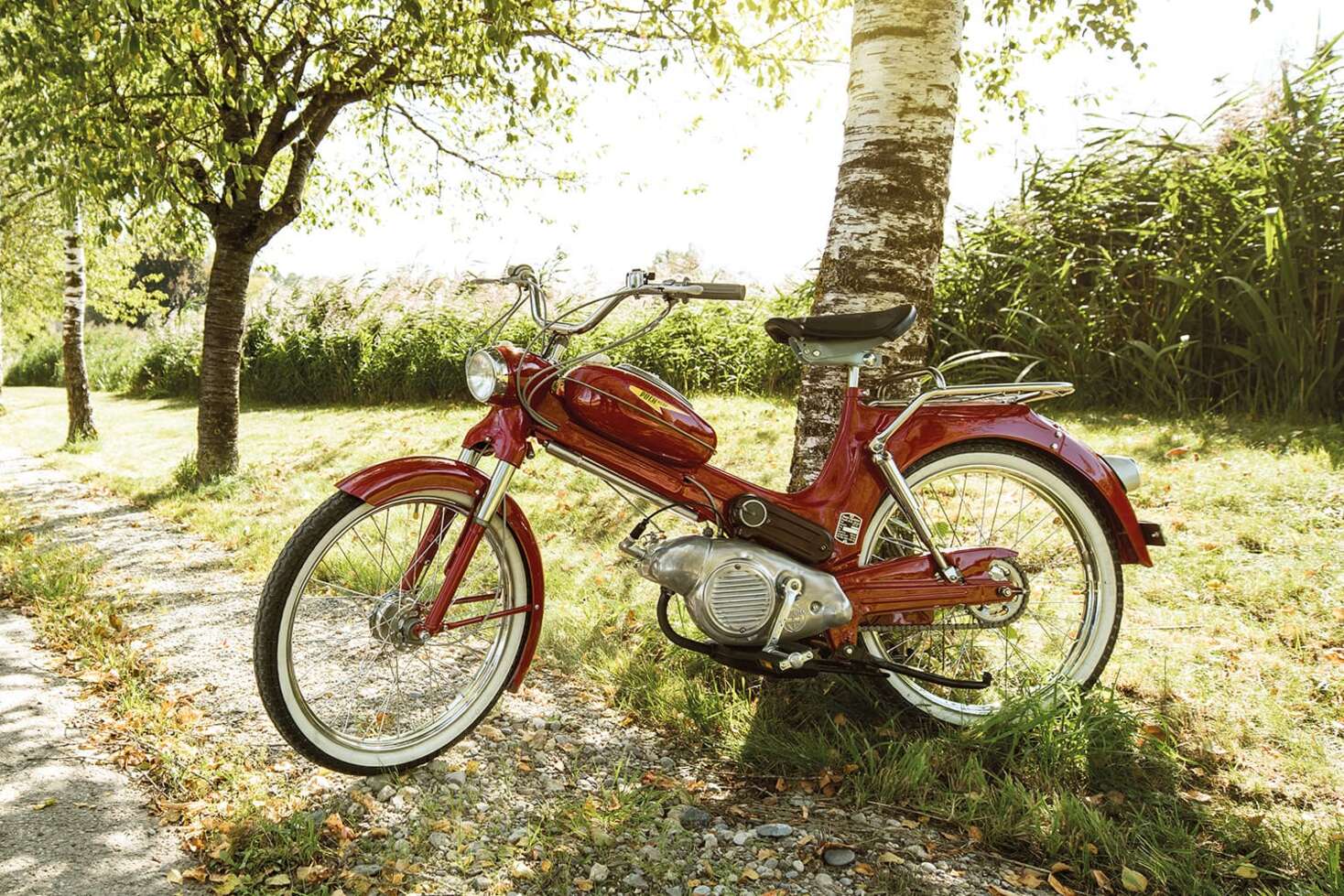 story-image-2-puch-1500 ×1000 story-image-2-puch-1500 ×1000
