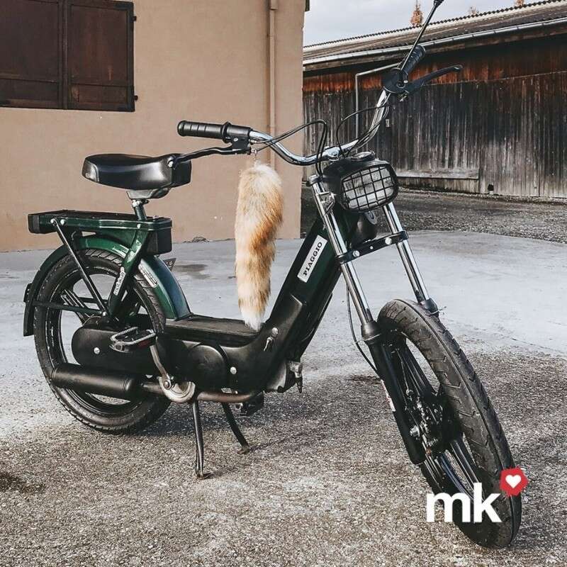 Piaggio Ciao von Alex Piaggio Ciao von Alex