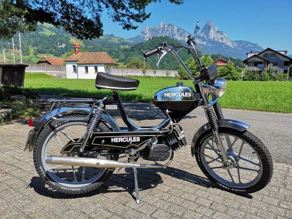 Hercules Sachs von Thomas Hercules Sachs von Thomas