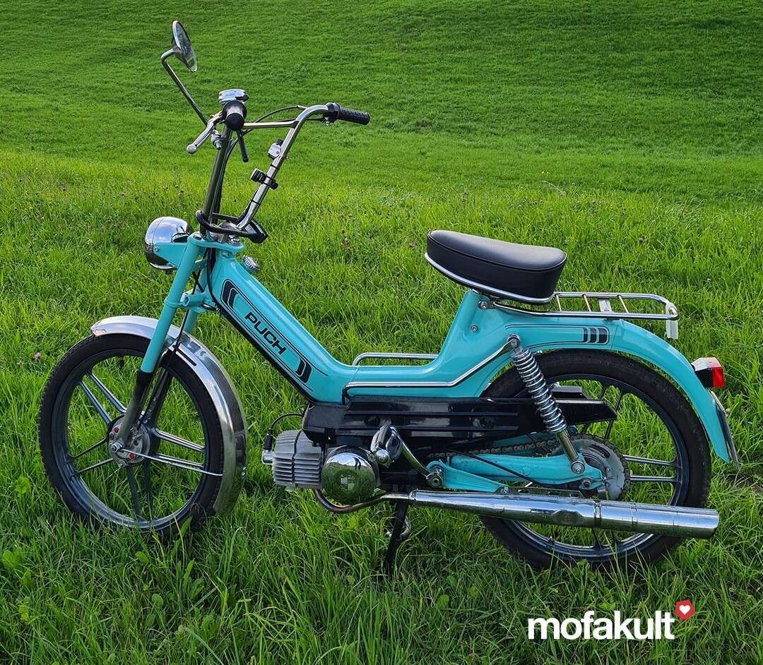 Maxi S von Eveline Maxi S von Eveline