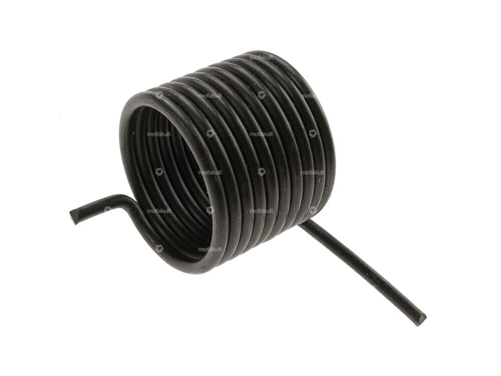 Kickstarterfeder Z50 Carousel Image 1