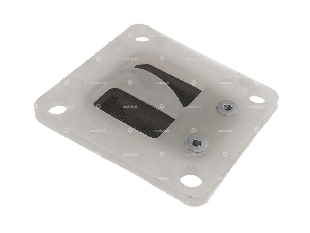 Insert à 2 membranes rabattables Malossi Carousel Image 2