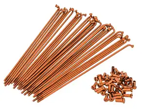 GPO 19" Speichen-Set inkl. Nippel (2.9 x 212 mm) orange GPO 19" Speichen-Set inkl. Nippel (2.9 x 212 mm) orange