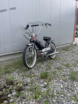 Es gid kenn riss wo da teil nd hettRoman Es gid kenn riss wo da teil nd hettRoman