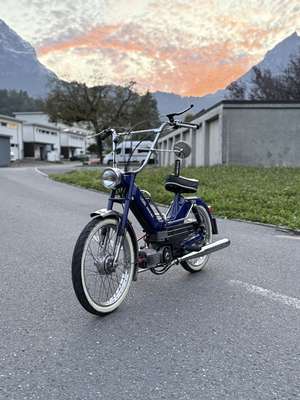 Z50 Maxi Vom Élia Z50 Maxi Vom Élia