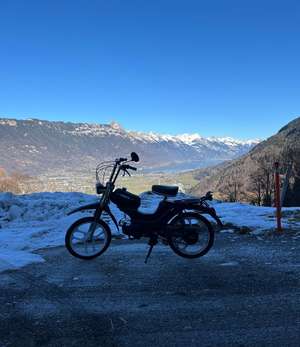 Vorder bräms gfählich Vorder bräms gfählich