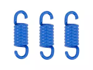 Polini set de ressorts d'embrayage Mono | Piaggio Ciao, SI, Bravo, Boxer Polini set de ressorts d'embrayage Mono | Piaggio Ciao, SI, Bravo, Boxer