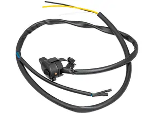 Interrupteur d'éclairage GPO avec faisceau de câbles noir Interrupteur d'éclairage GPO avec faisceau de câbles noir