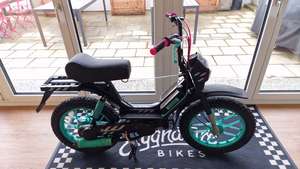 Joshua der Echsenmoped Joshua der Echsenmoped