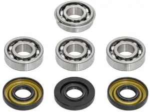 swiing® revival Kit de révision moteur (nouveau modèle) | Puch E50 swiing® revival Kit de révision moteur (nouveau modèle) | Puch E50