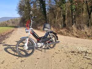 Black Panther Black Panther