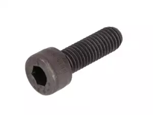 M8x25 hexagon socket head screw, blackened (12.9 strength) M8x25 hexagon socket head screw, blackened (12.9 strength)
