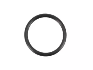 O-Ring Tretachse 19 x 2 mm | Sachs 505 O-Ring Tretachse 19 x 2 mm | Sachs 505