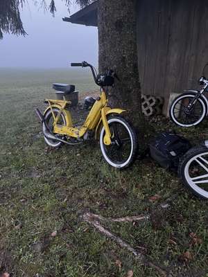 Banana Colin Banana Colin